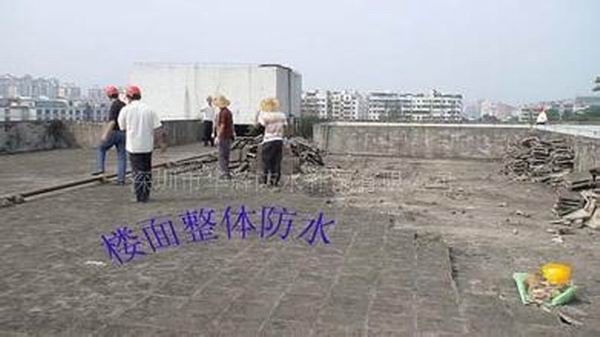 泉港家政服务哪家牛#泉港管道疏通 