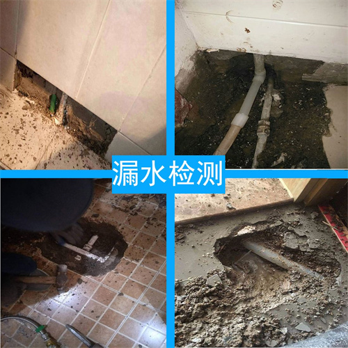 大连专业测漏水点检测