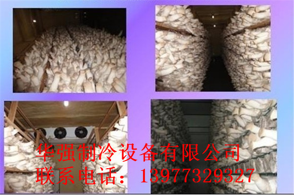 桂林冷库