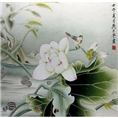 中山手绘