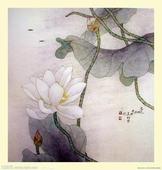 佛山手绘墙-壁画素材-花鸟画素材