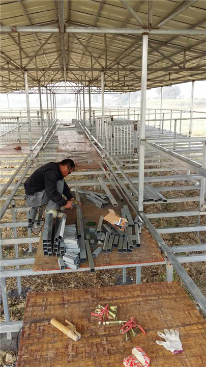 益阳养殖大棚 