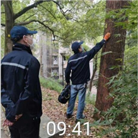太原灭鼠