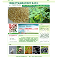金泉网网站案例模板金泉网客服 