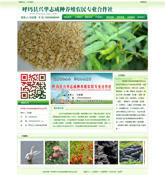 金泉网网站案例模板金泉网客服 