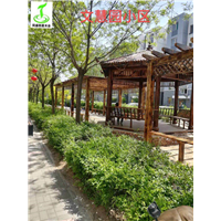 大同文慧园小区防腐木 
