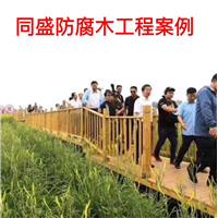 大同防腐木工程案例 