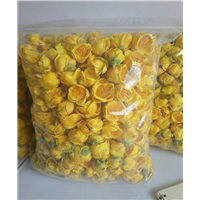 批发广西防城防普**茶花
