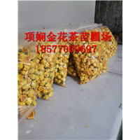 **茶作用