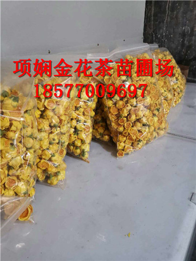 **茶作用