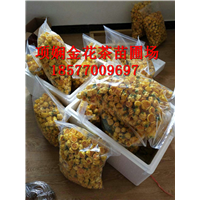 2019防城港**茶价格|**茶作用
