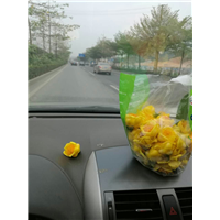 **茶苗圃场 