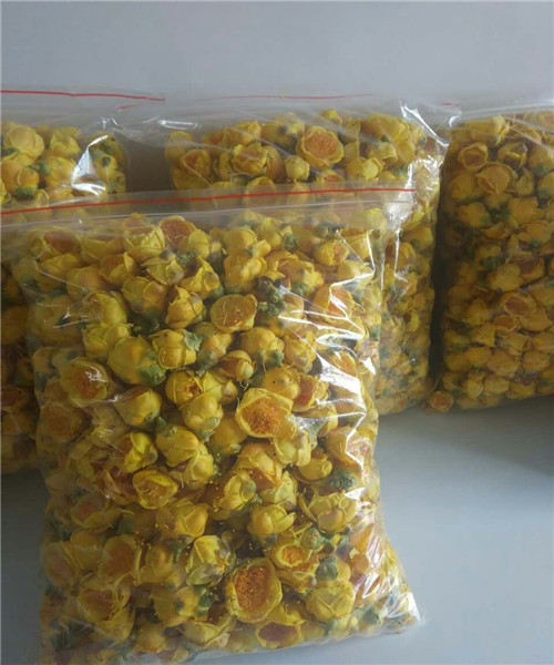 防普冻干花批发#广西防城防普**茶花批发