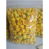 批发广西防城防普**茶花