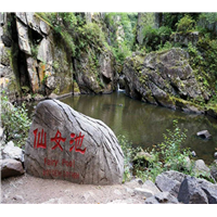 伊春包车#伊春旅游包车 