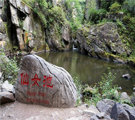 伊春包车#伊春旅游包车 