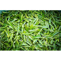 河源市横抗茶-河源横抗茶