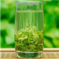 河源缺牙山茶--河源切牙山高山绿茶
