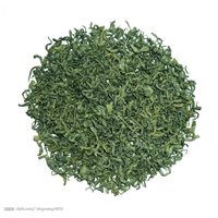 河源缺牙山茶-缺牙山绿茶