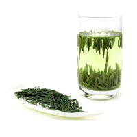 河源绿茶厂家--河源高山横坑绿茶