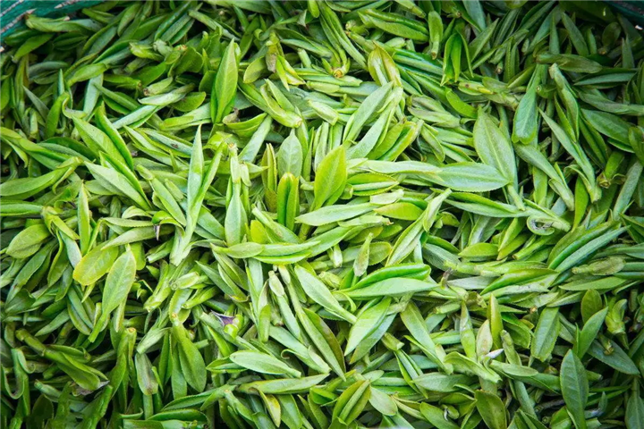 河源市横抗茶-河源横抗茶