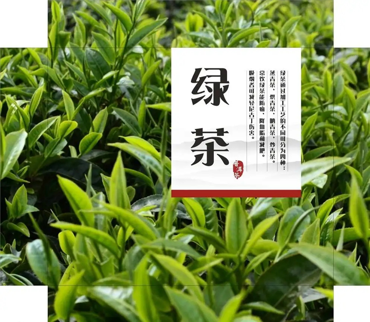 河源高山绿茶-高山绿茶公司