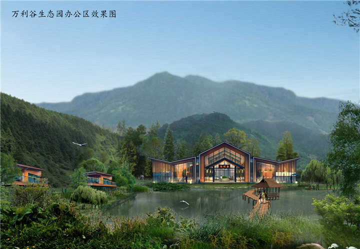 河源绿茶