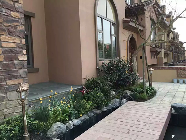 案例展示15 