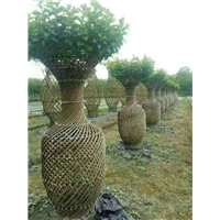 紫薇编制花瓶5 