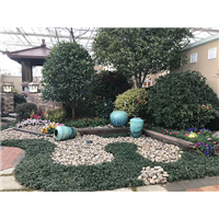 案例展示7 