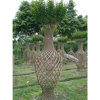 紫薇编制花瓶2 