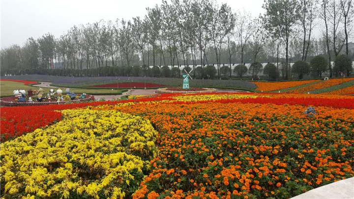 草花花境3 