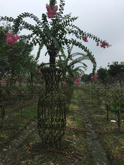 紫薇造型花瓶4 