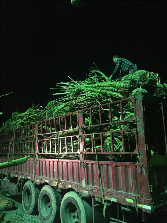 装车现场26 
