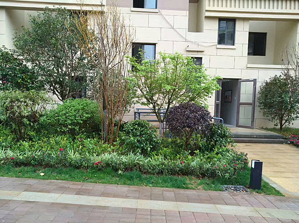 案例展示27 