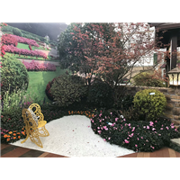 案例展示8 