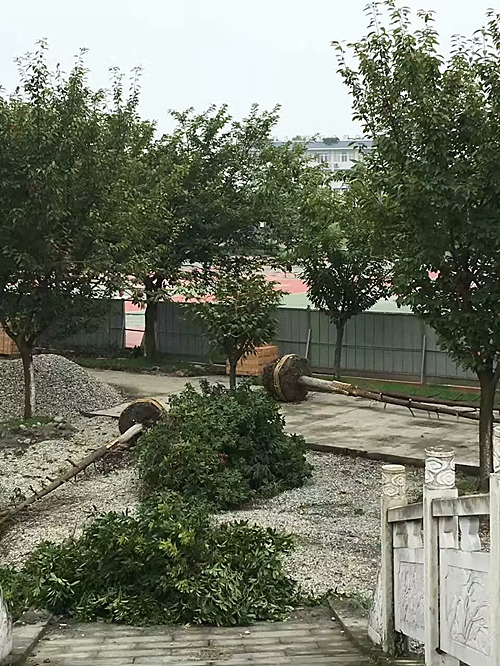 案例展示21 