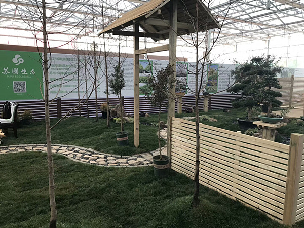 案例展示13 