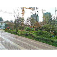 案例展示29 