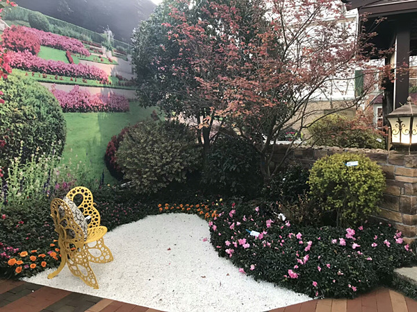 案例展示8 