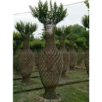 紫薇编制花瓶4 