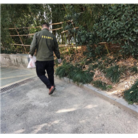 绍兴灭蟑螂胶饵