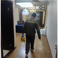 绍兴酒店灭鼠如何清理