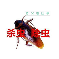 柯桥灭鼠公司▎柯桥除四害 