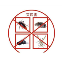 柯桥灭蚊虫▎柯桥灭蚊 