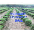 中山兴城草坪