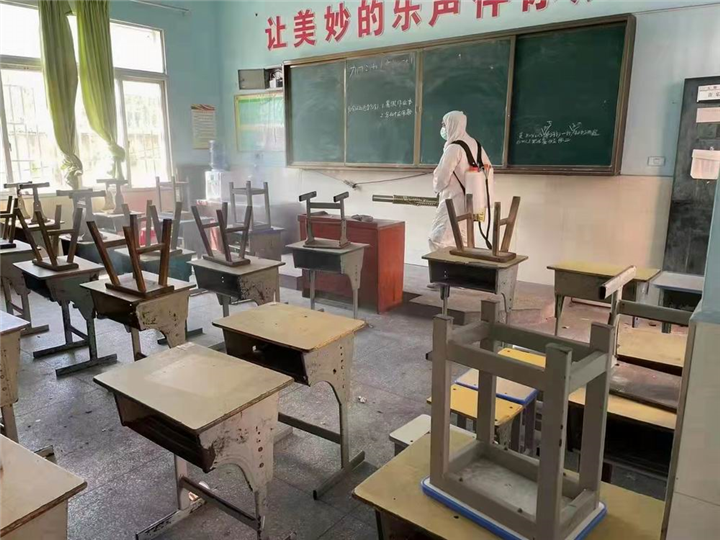 自贡灭鼠公司