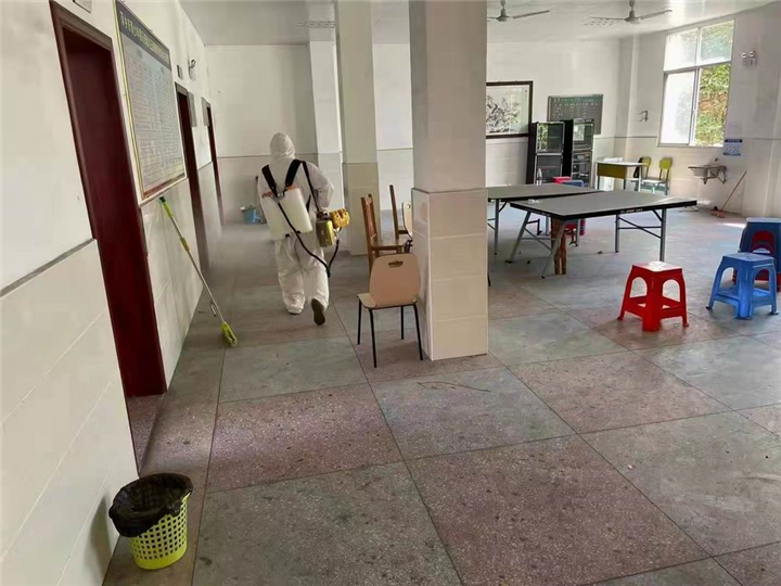 自贡灭鼠公司