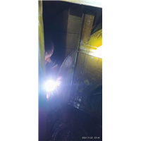 自贡市白蚁防治