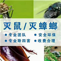 自贡灭鼠公司